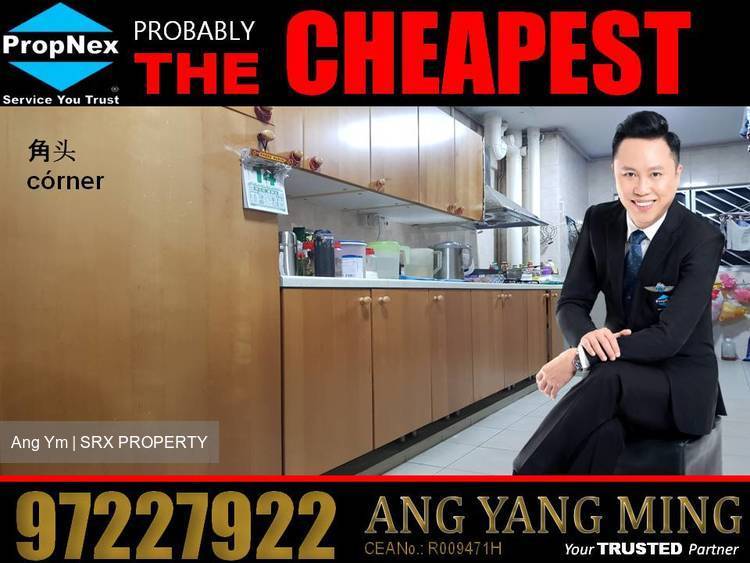 Jurong East Avenue 1 thumbnail photo